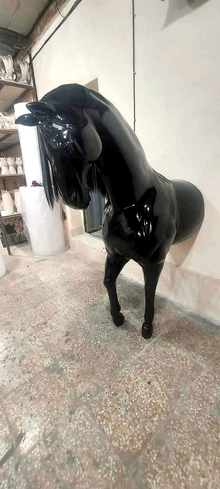 Statement Animals