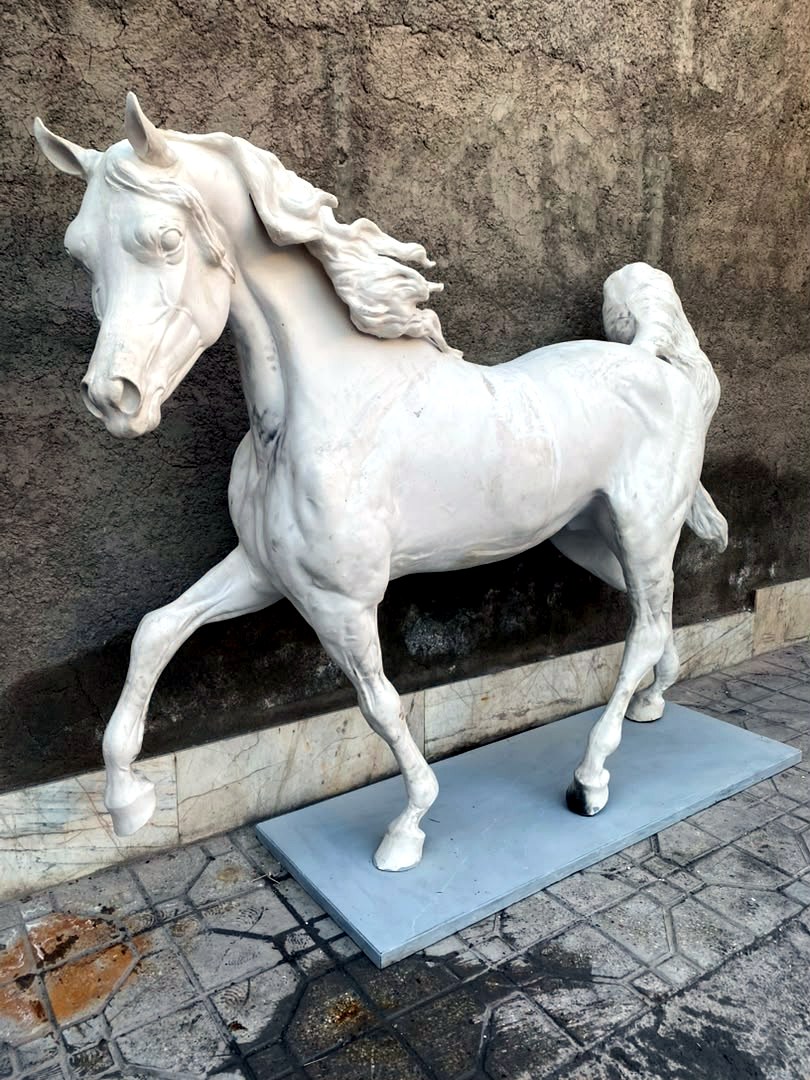 Arabian Stallion