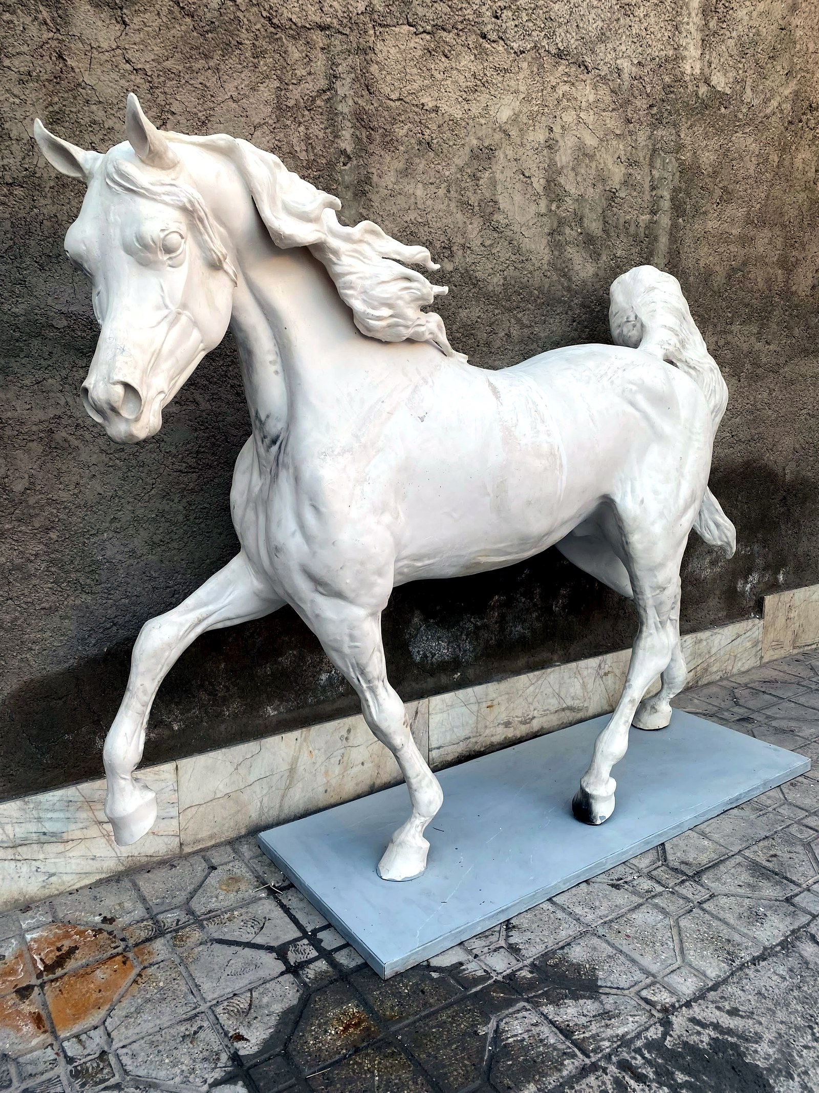 Trotting Horse